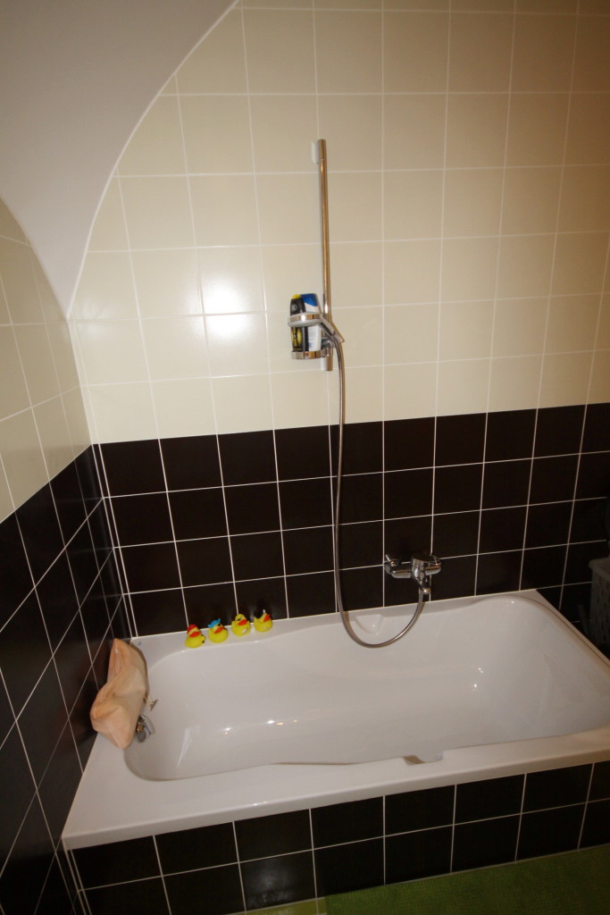 Carrelage 20x20 salle de bains - duplex